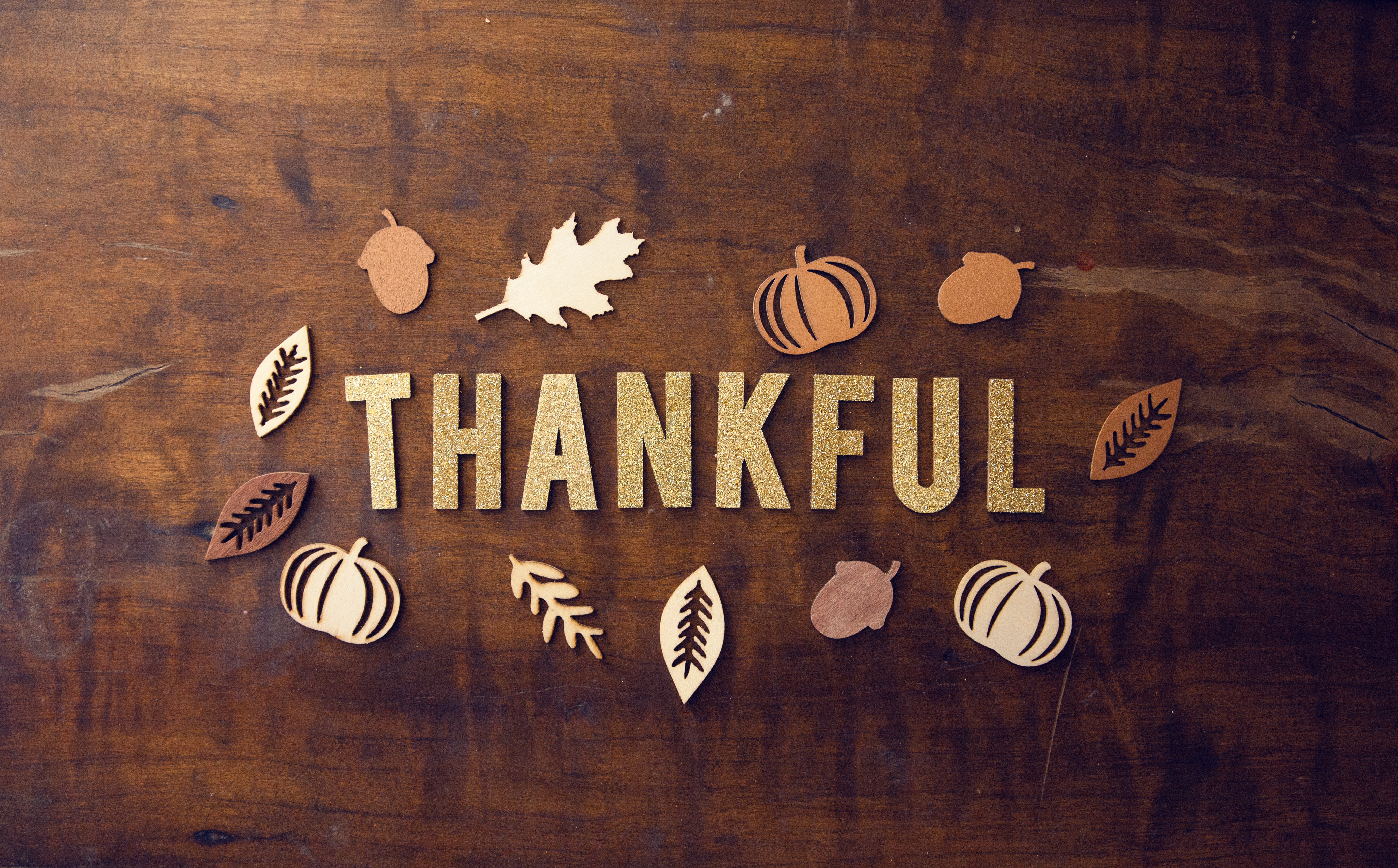 Gratitude Attitude